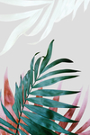 植物装饰画