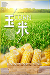 绿色疏菜