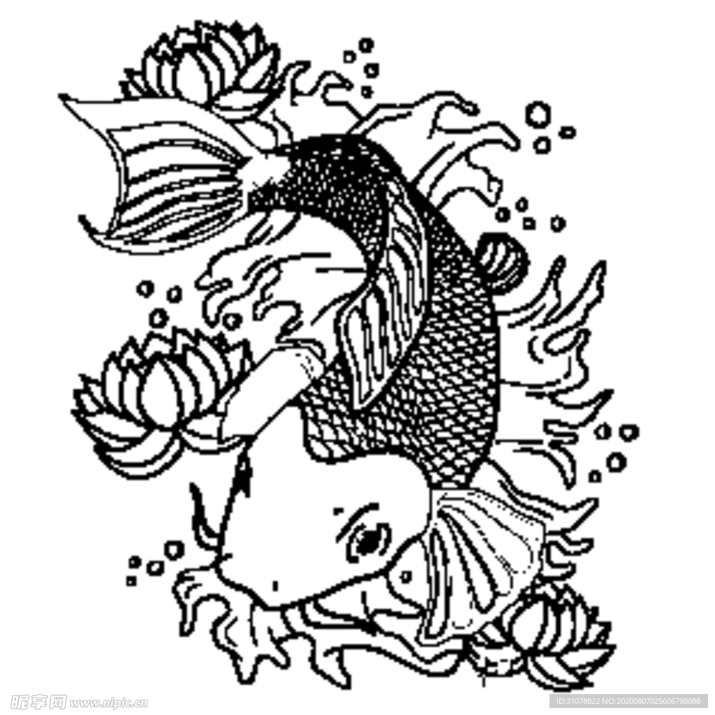 鲤鱼插画图案