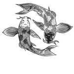 鲤鱼插画图案