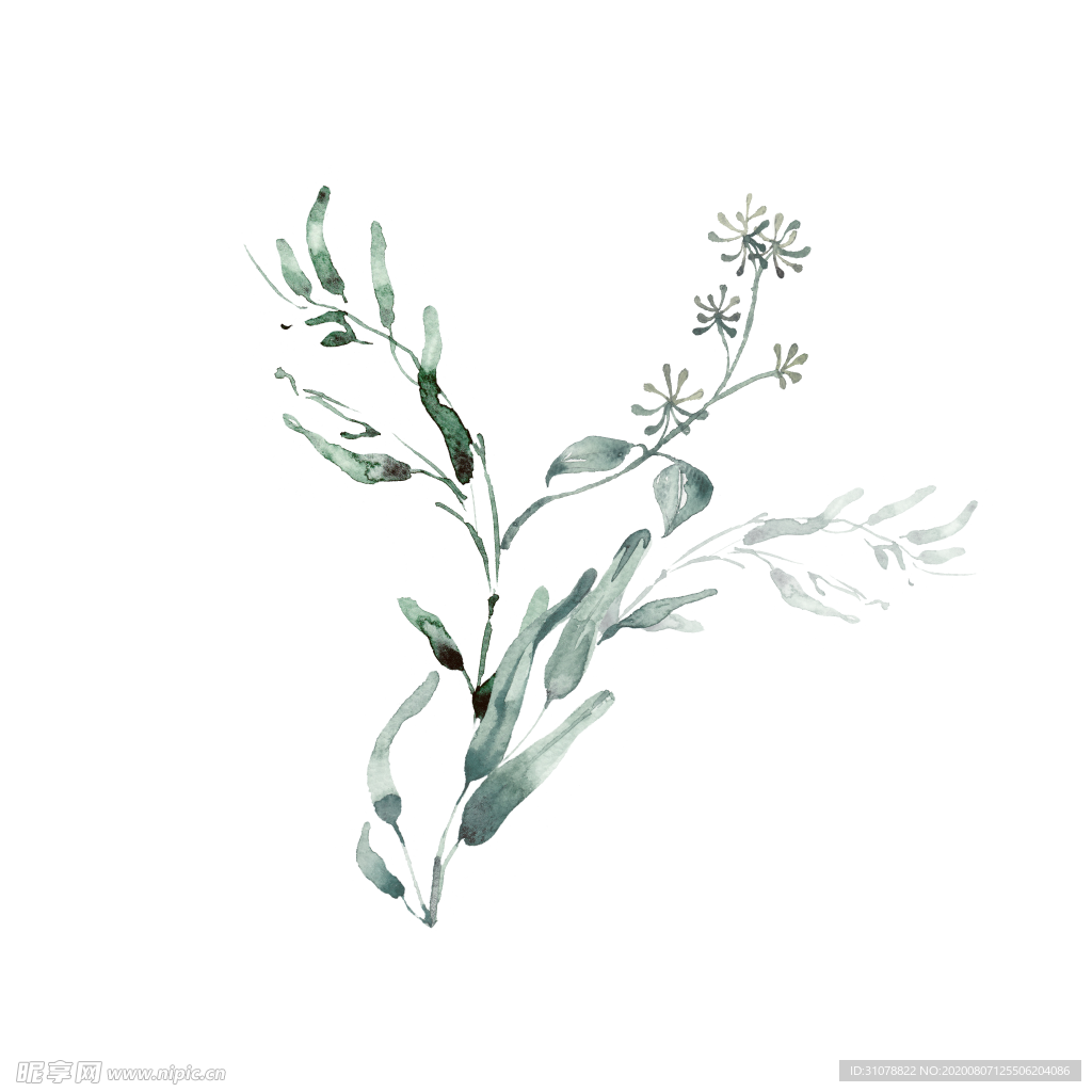 小清新水彩植物树枝
