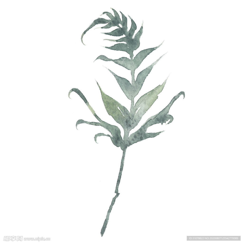 小清新水彩植物树枝