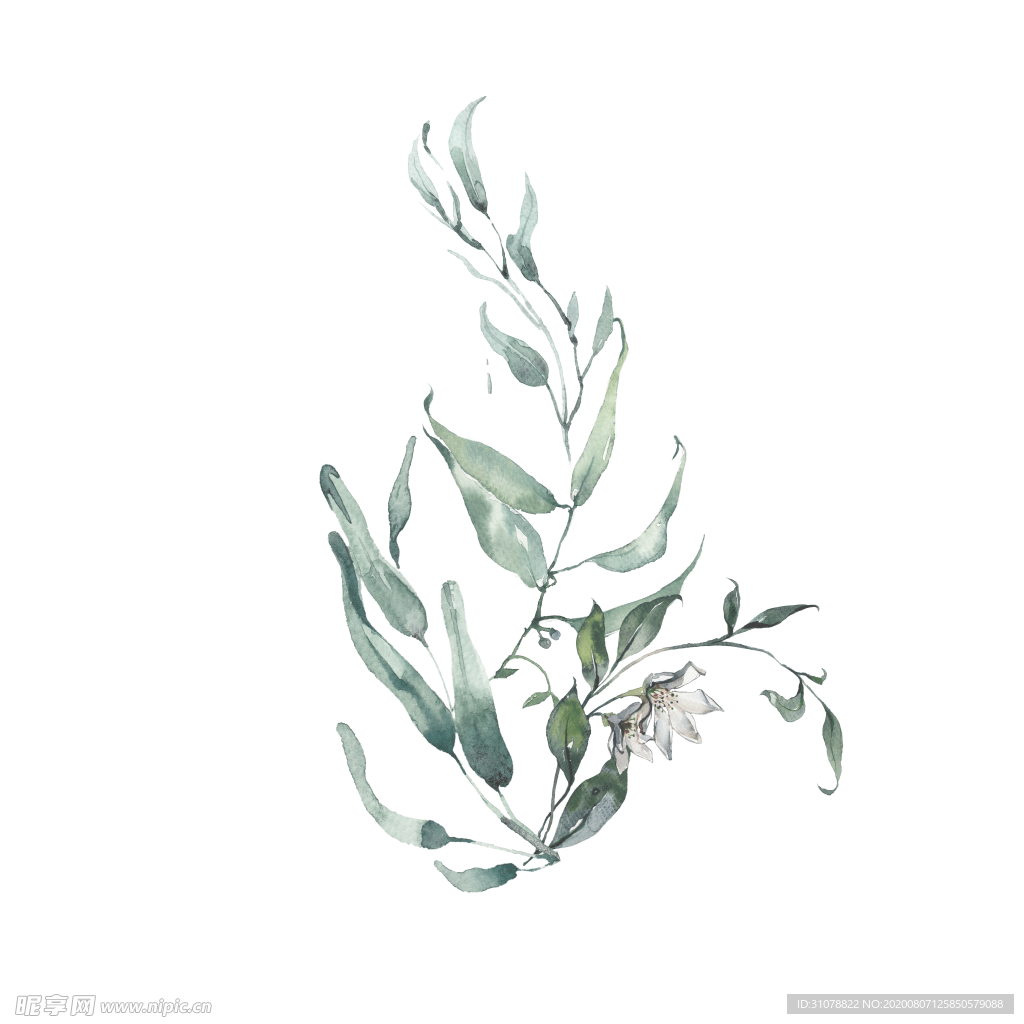 小清新水彩植物树枝