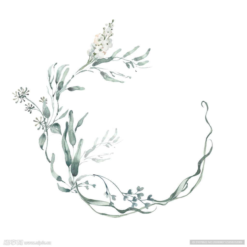小清新水彩植物树枝