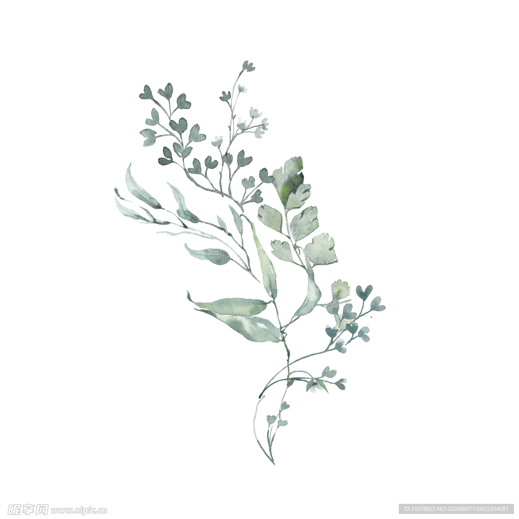 小清新水彩植物树枝