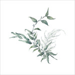 小清新水彩植物树枝