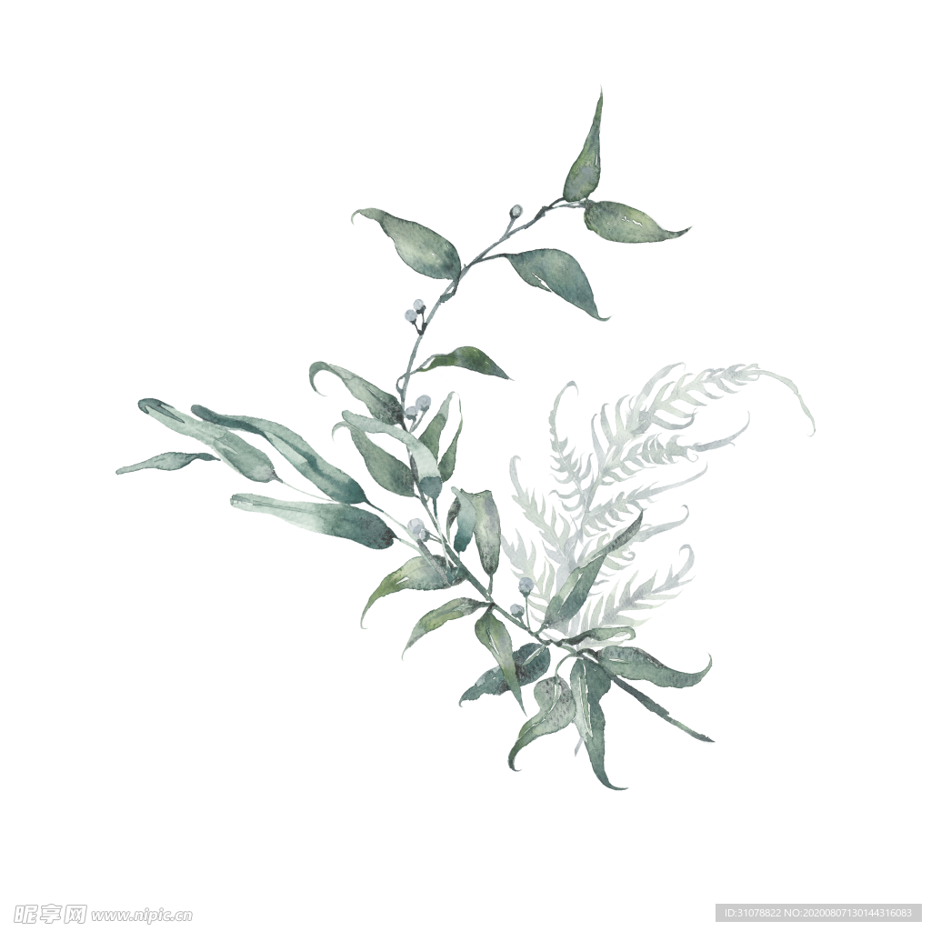 小清新水彩植物树枝