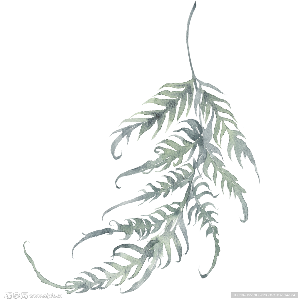 小清新水彩植物树枝