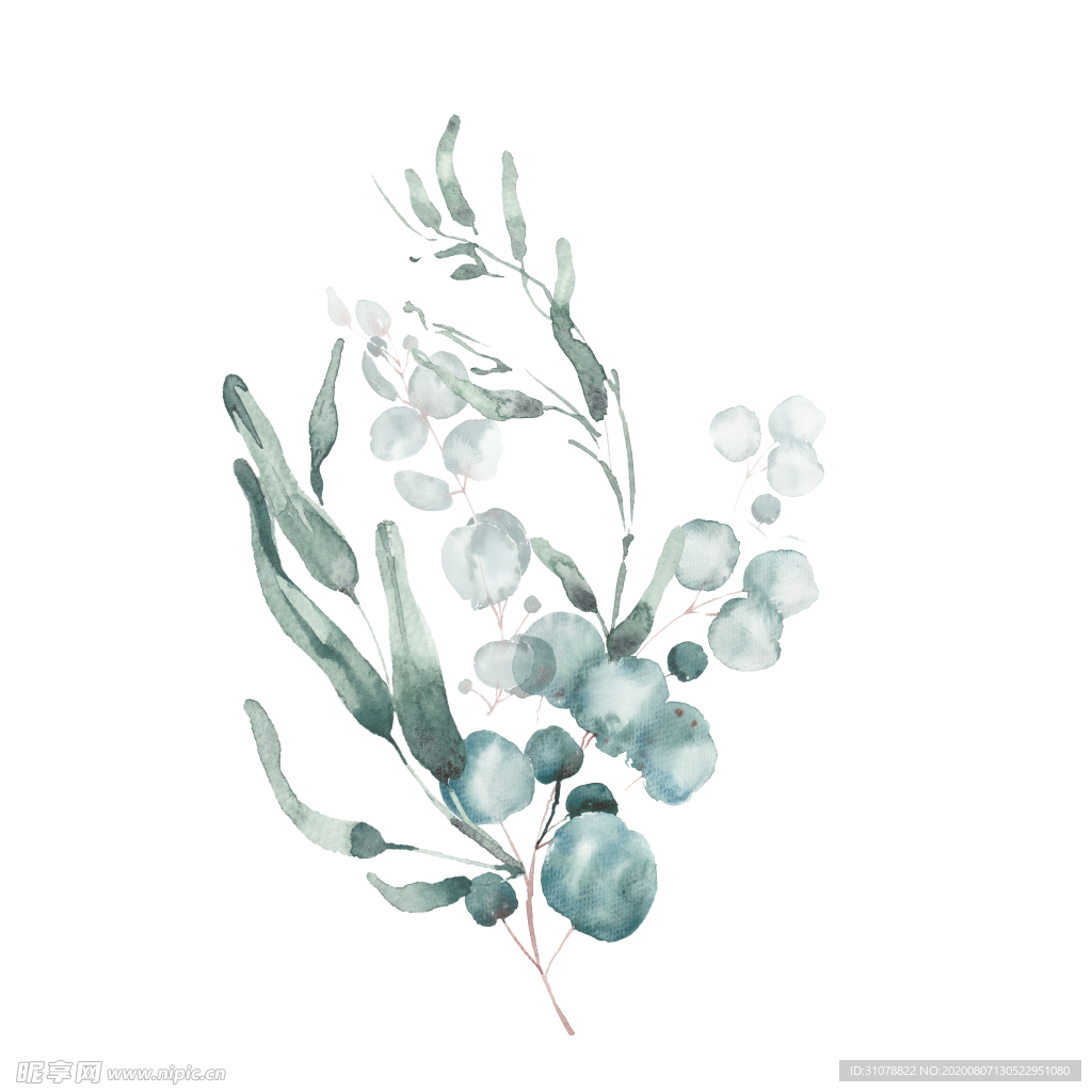 小清新水彩植物树枝
