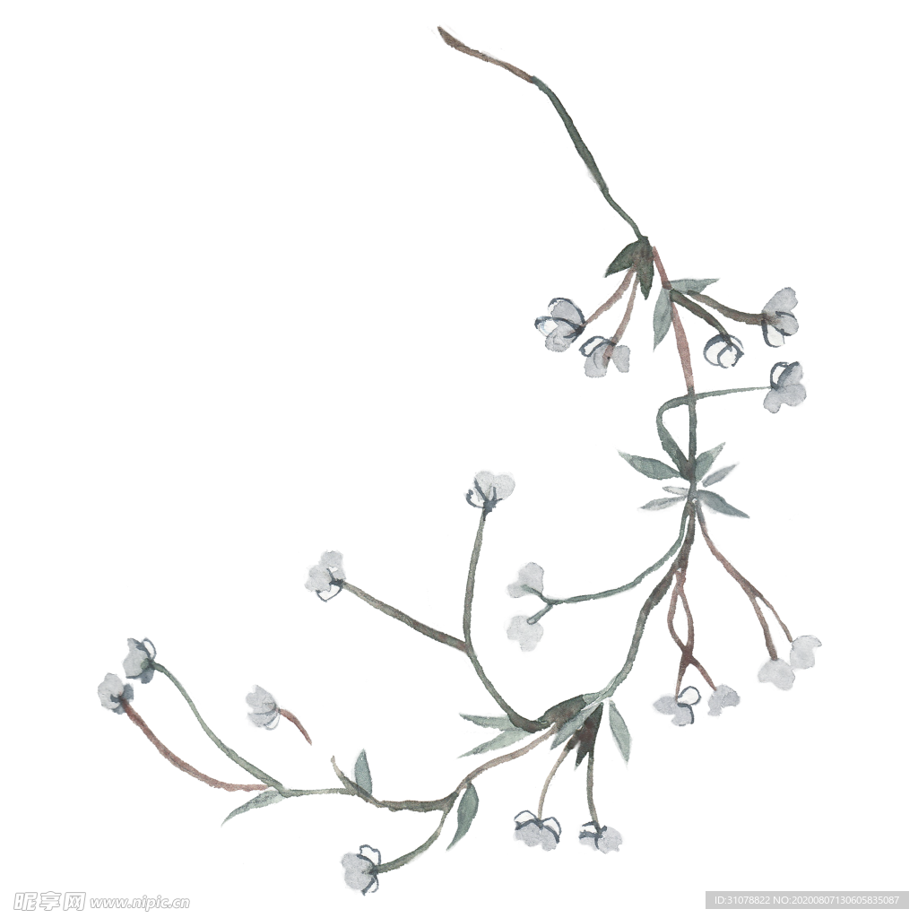 小清新水彩植物树枝