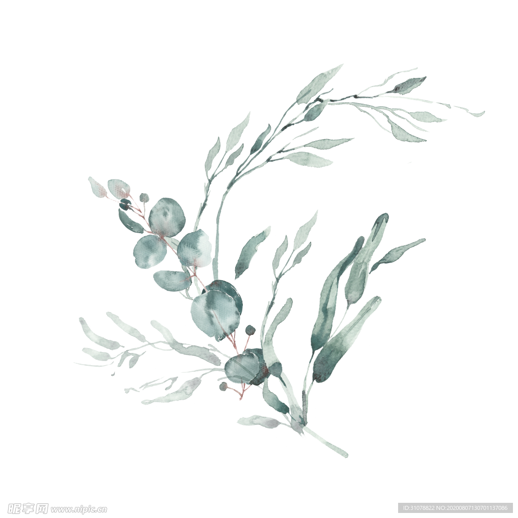 小清新水彩植物树枝