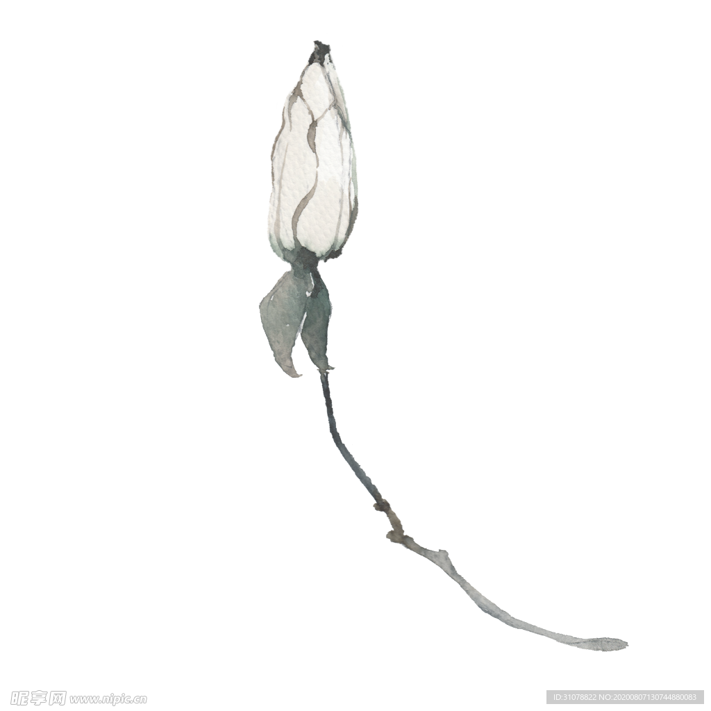 小清新水彩植物树枝