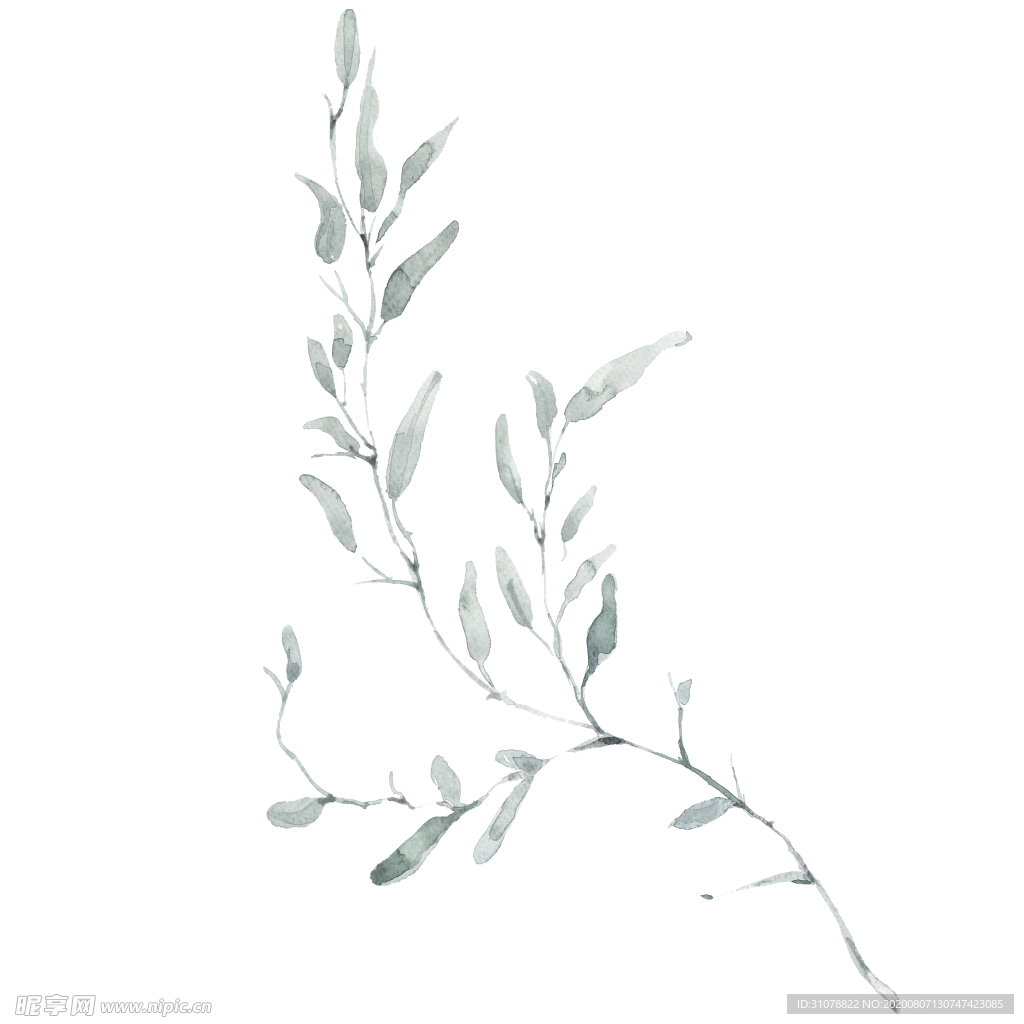 小清新水彩植物树枝