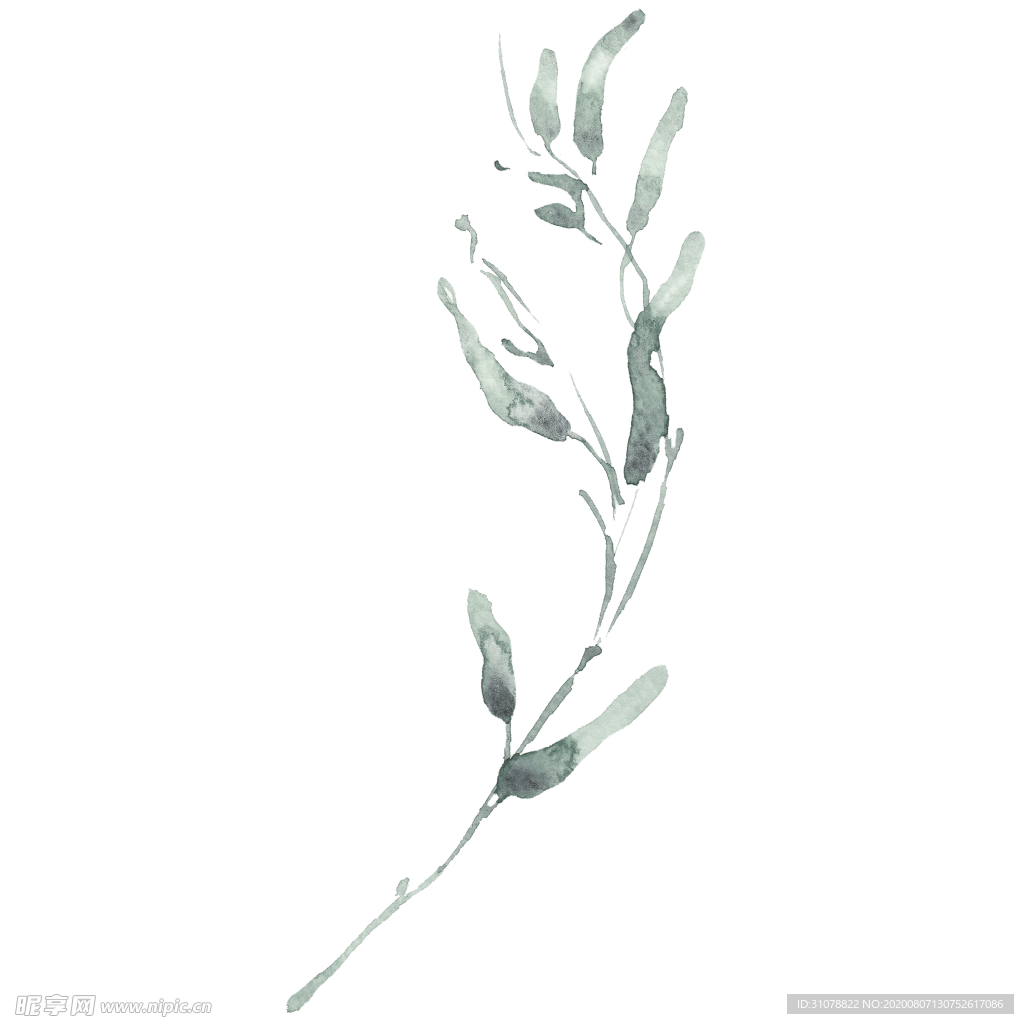 小清新水彩植物树枝