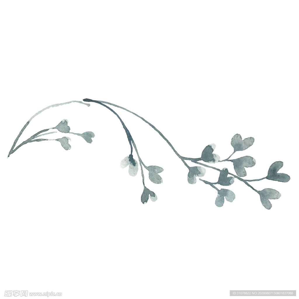 小清新水彩植物树枝