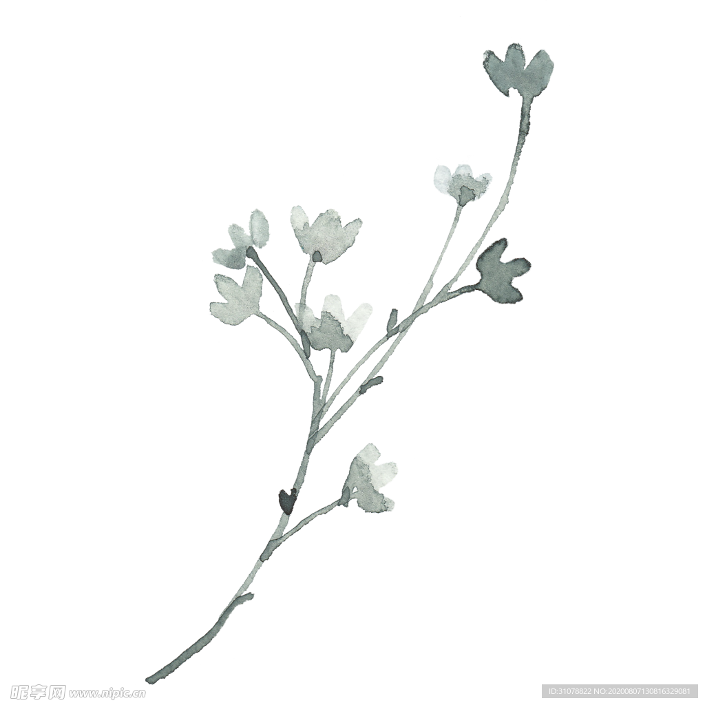小清新水彩植物树枝