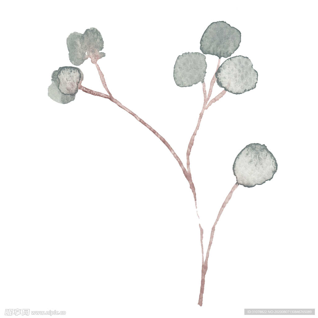 小清新水彩植物树枝