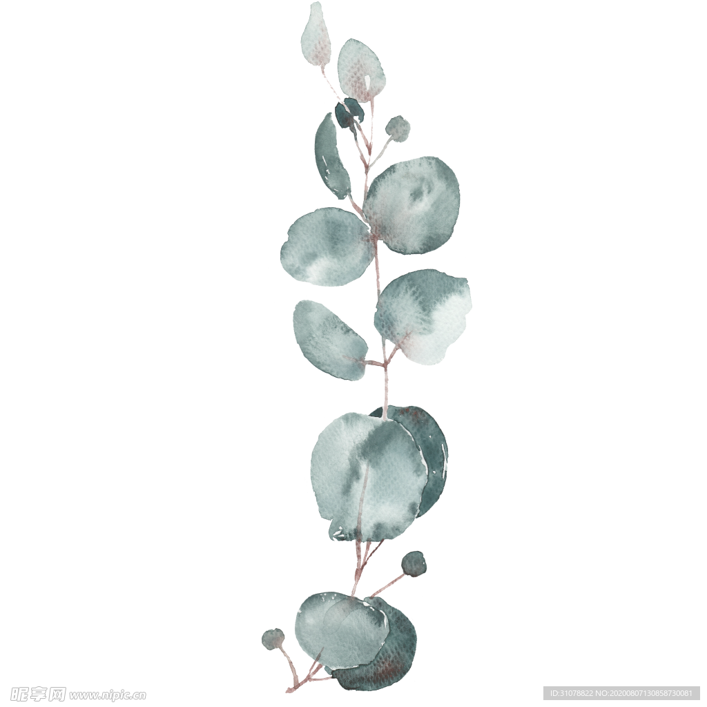 小清新水彩植物树枝
