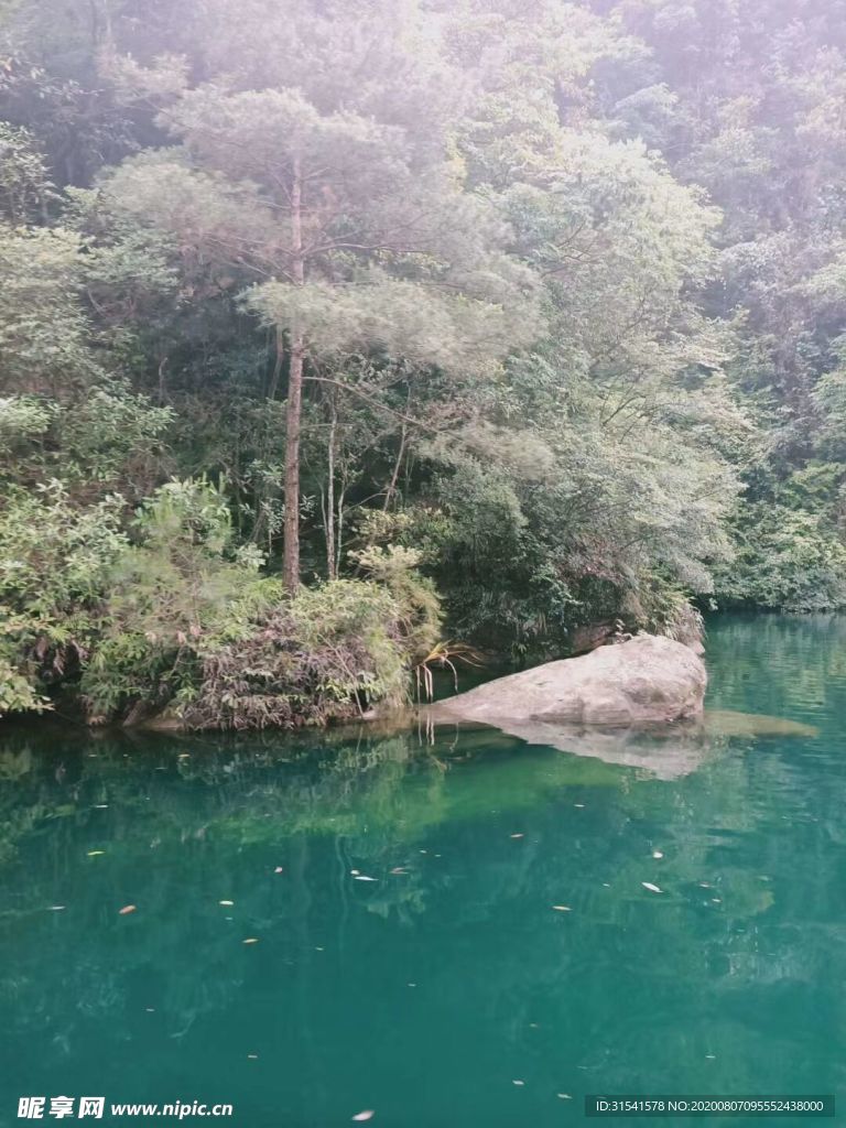 风景