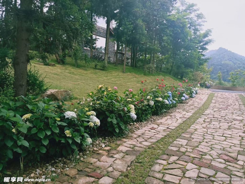 风景