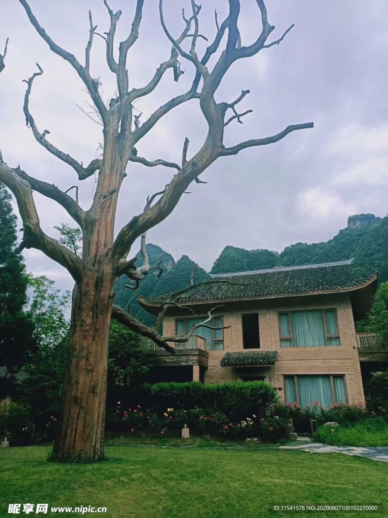 旅游景点