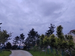 傍晚的公园