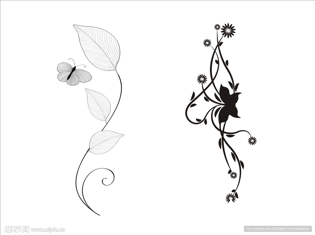 花纹 花边