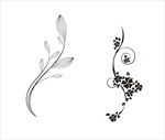 花纹 花边