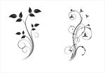 花纹 花边