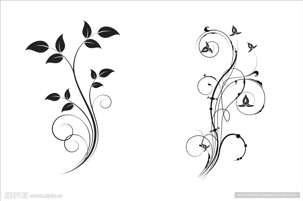 花纹 花边