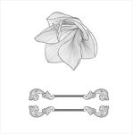 花纹 花边
