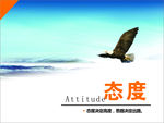 态度