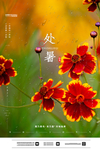 处暑