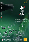 白露