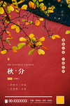 秋分
