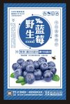 蓝莓