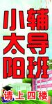 家教海报