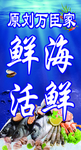 海鲜广告