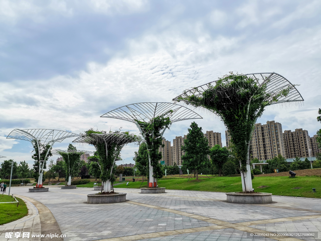 宁波植物园景观树