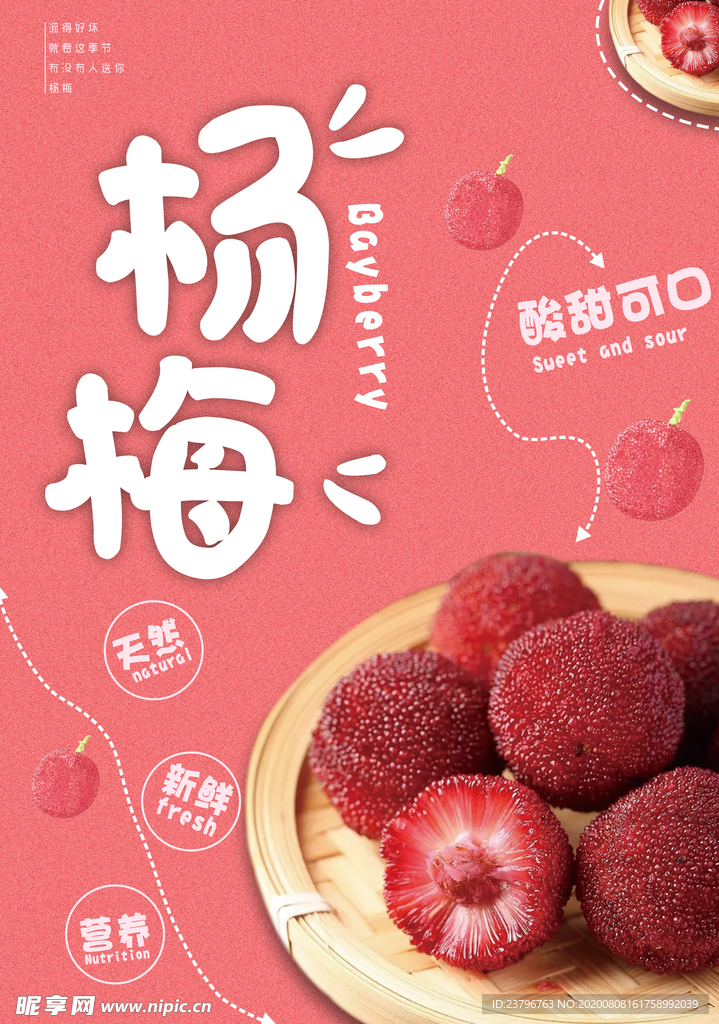 杨梅海报