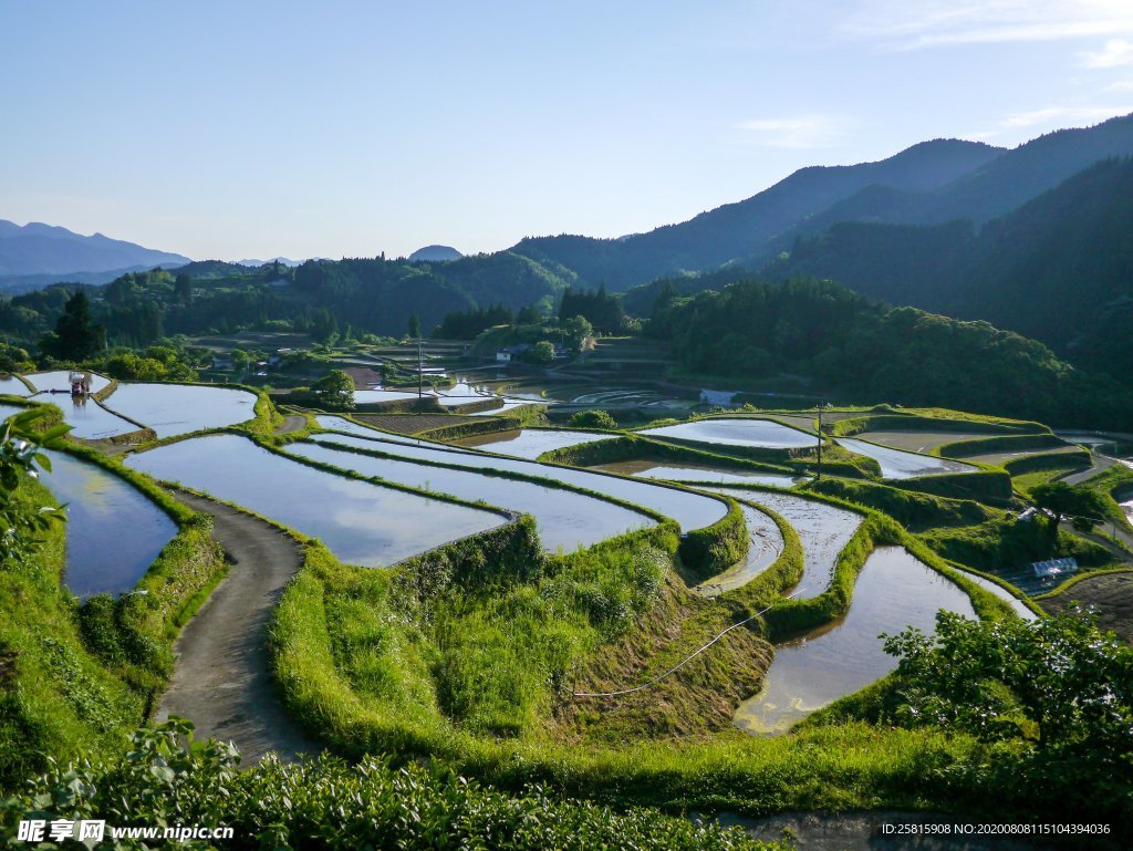 梯田