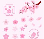 不同樱花花