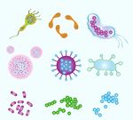 微生物插图