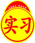 新手实习