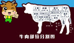 牛肉分割