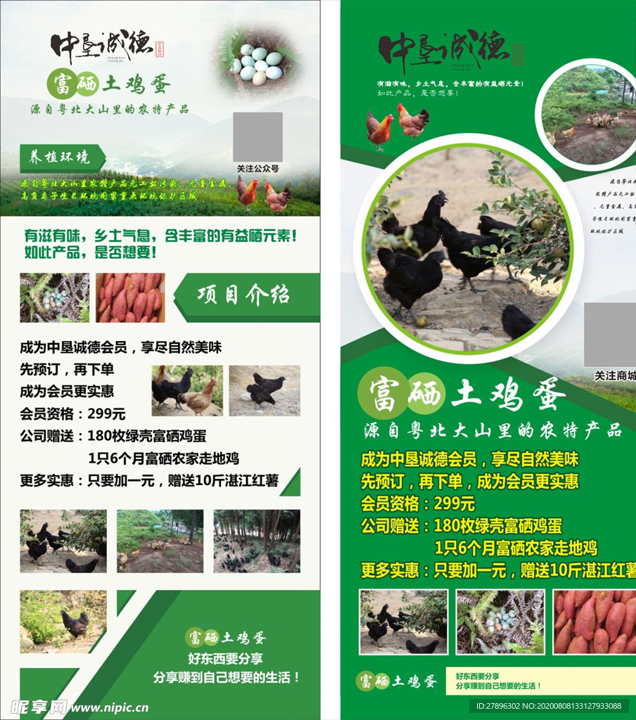 走地鸡展架