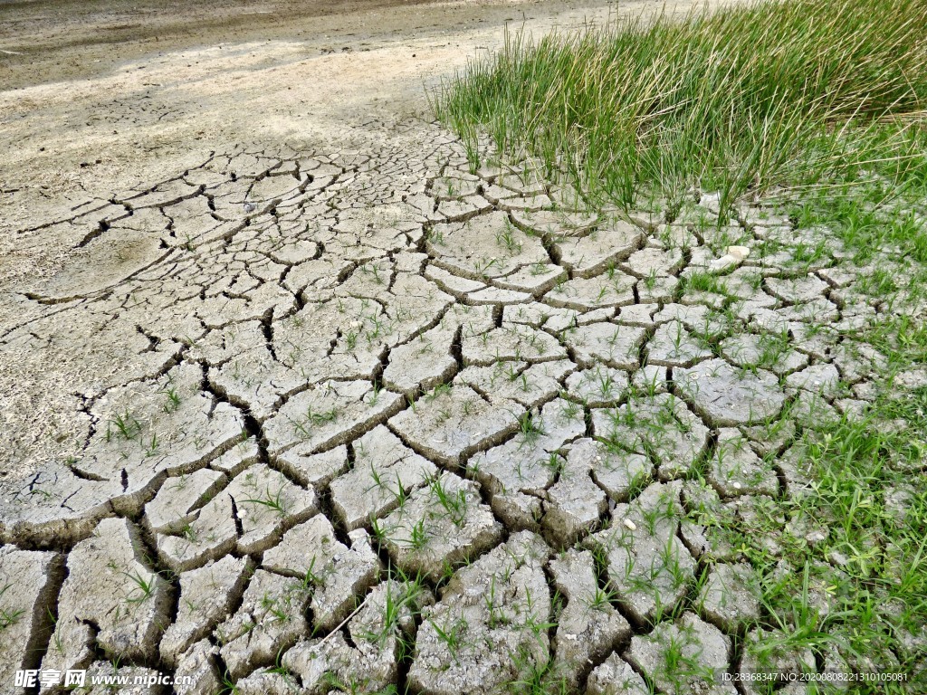 干裂的大地