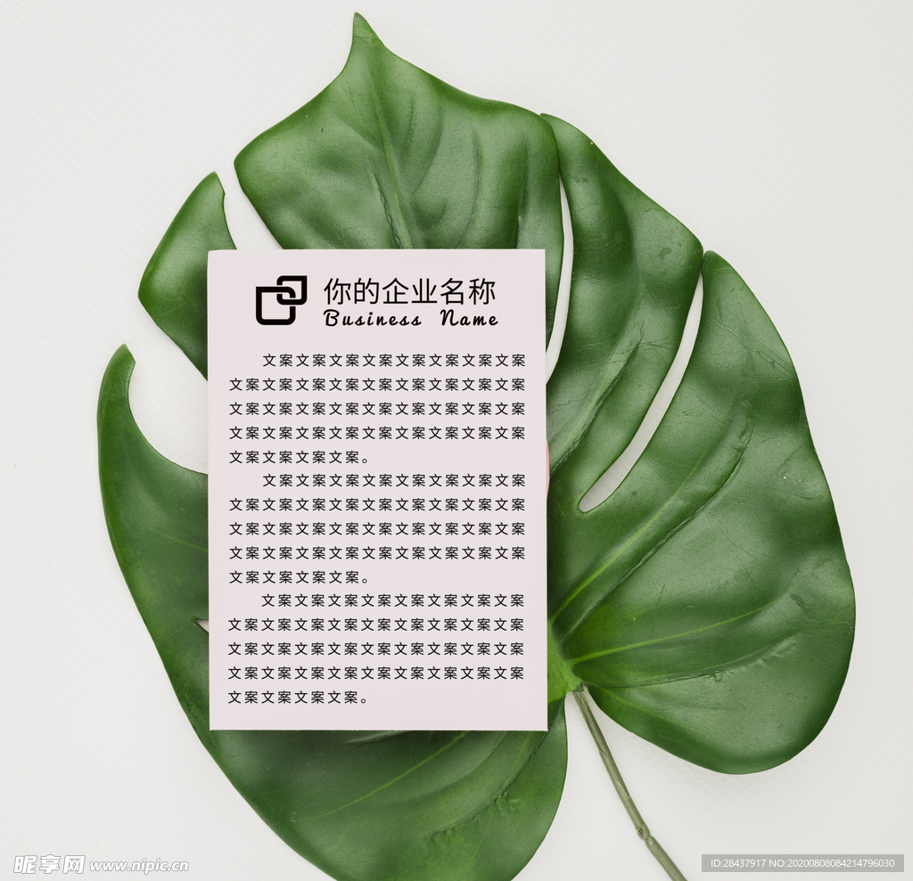 纸张样机