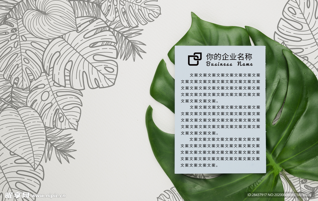 纸张样机