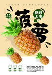 菠萝海报